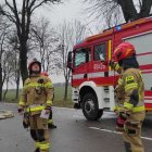 zdjęcie nr 7