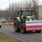 zdjęcie nr 33