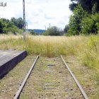 zdjęcie nr 8