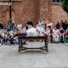 zdjęcie nr 11