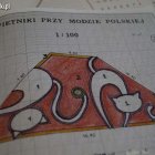 Projekty letnich obsad w Elblągu Aleksandra Szymańska
