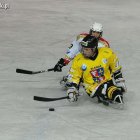  Marek Lewandowski