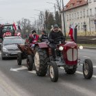 zdjęcie nr 59