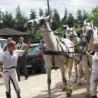 zdjęcie nr 143