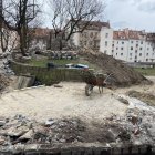 zdjęcie nr 19