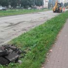 zdjęcie nr 7