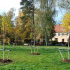  Zarząd Zieleni Miejskiej w Elblągu