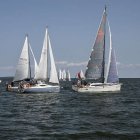zdjęcie nr 244