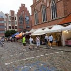 zdjęcie nr 42
