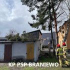 zdjęcie nr 8