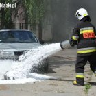 zdjęcie nr 23