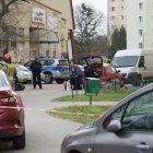 zdjęcie nr 10