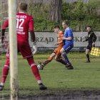 zdjęcie nr 165