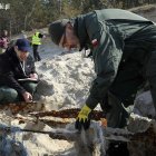 zdjęcie nr 27