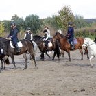 zdjęcie nr 11