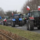 zdjęcie nr 15