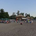 zdjęcie nr 15