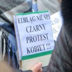 zdjęcie nr 14
