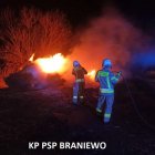 zdjęcie nr 10