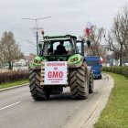 zdjęcie nr 30