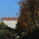 zdjęcie nr 24