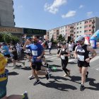 zdjęcie nr 217