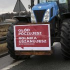 zdjęcie nr 38