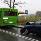 zdjęcie nr 11
