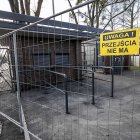 zdjęcie nr 10