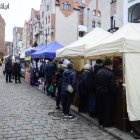 zdjęcie nr 8