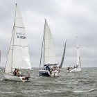 zdjęcie nr 149