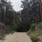 zdjęcie nr 19