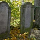 zdjęcie nr 18