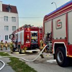 zdjęcie nr 13