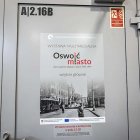 zdjęcie nr 40