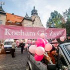 zdjęcie nr 10