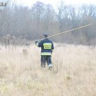 zdjęcie nr 10