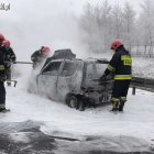 zdjęcie nr 35