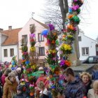 zdjęcie nr 10