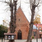 zdjęcie nr 40
