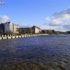 Cofka na rzece Elbląg Aleksandra Szymańska