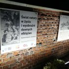 zdjęcie nr 16