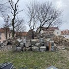 zdjęcie nr 11