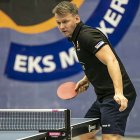 zdjęcie nr 13