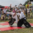 zdjęcie nr 98