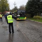zdjęcie nr 17