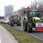 zdjęcie nr 46