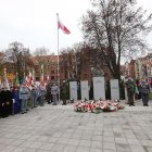 zdjęcie nr 14