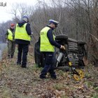 Fotka nr 4 z 11