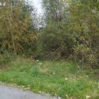  Starostwo Powiatowe w Elblągu